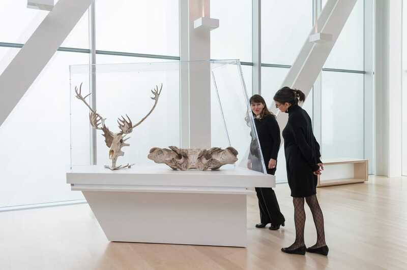 Quebec City: MNBAQ National Fine Arts Museum Entry Ticket - Major temporary exhibitions and changing reasons to return