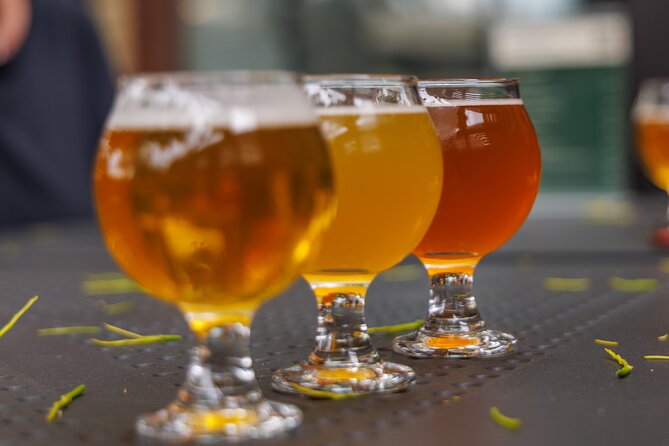 Quebec City: Montmorency Falls and Microbrewery eBike Tour - Guides, bikes, and the overall feel