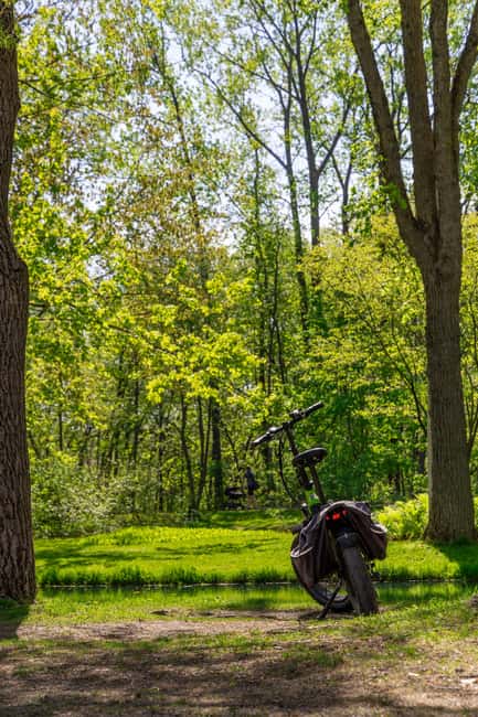 Quebec City: Montmorency Falls and Microbrewery eBike Tour - Practical details that affect your decision