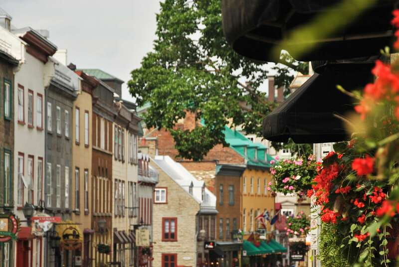 Quebec City: Old Quebec Historical Walking Tour - What the guides do best