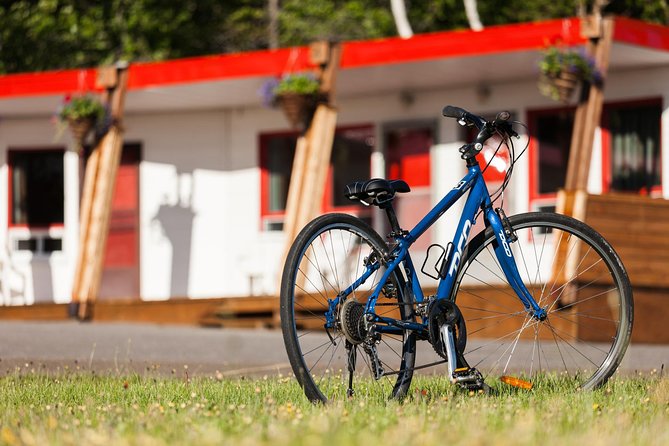 Quebec City - Regular Bike Rental on Ile d'Orléans - Farms, river views, and good reasons to stop