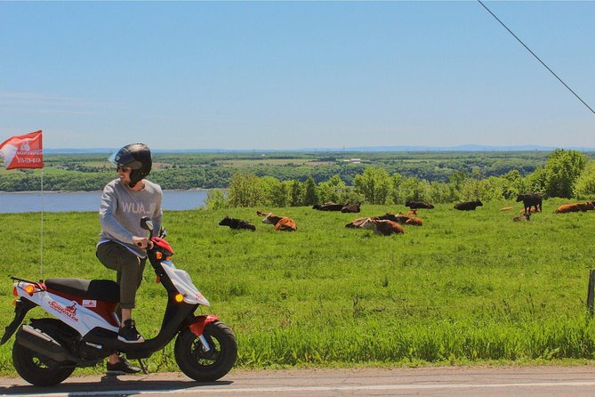 Quebec City - Scooter Rental on Ile d'Orléans - History along the island roads
