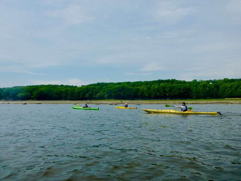 Quebec City: Sea-Kayaking Tour in Orleans Island - The Value of $65