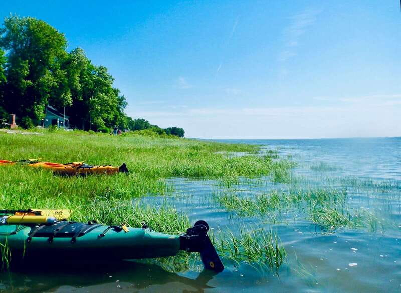 Quebec City: Sea-Kayaking Tour in Orleans Island - Who Should Book This Outing