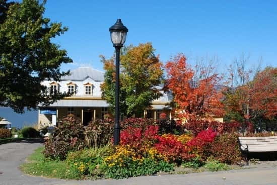 Quebec: City Tour, Montmorency Falls & Île d'Orléans Tour - Walking through Petit Champlain and Place Royale