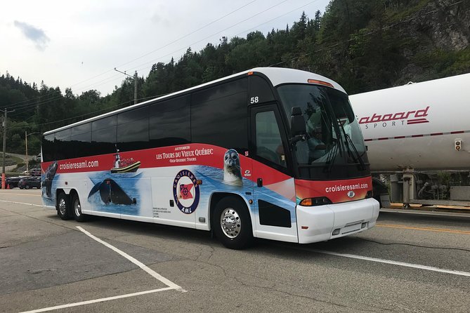 Québec City: Whale Watching Tour with Bus Transportation - Food, clothing, and camera advice