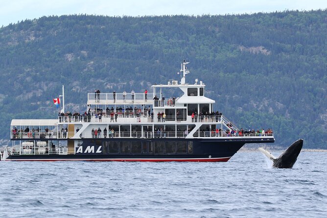 Québec City: Whale Watching Tour with Bus Transportation - Choosing the AML Grand Fleuve observation boat