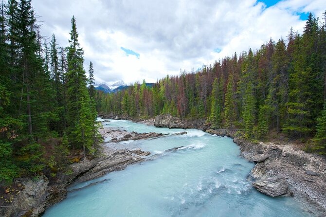 Rafting Adventure on the Kicking Horse River - Key points at a glance