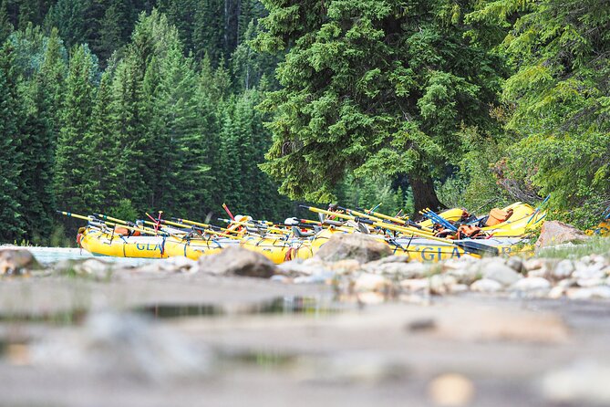 Rafting Adventure on the Kicking Horse River - On the Kicking Horse River: from calmer water to Class IV rapids