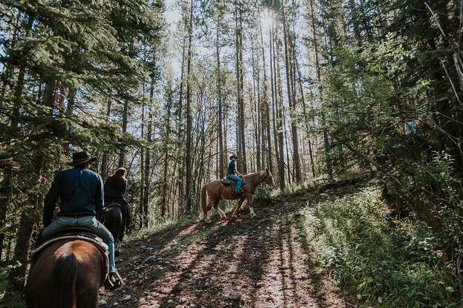 Ridge Ride 2-Hour Horseback Trail Ride in Kananaskis - Boundary Ranch gives the ride its character