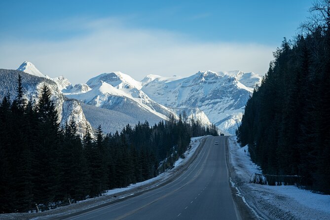 Rockies Winter Premium Tour - Day five: BC Wildlife Park and the return to Vancouver