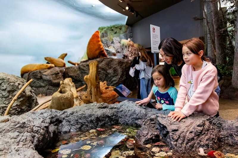 Royal B.C. Museum in Victoria: Full-Day Admission Ticket - Coastal rainforest wildlife and the Natural History gallery