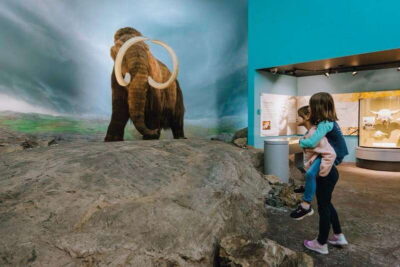 Royal B.C. Museum in Victoria: Full-Day Admission Ticket