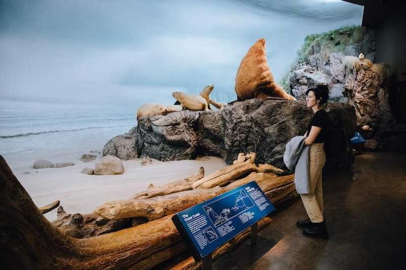 Royal B.C. Museum in Victoria: Full-Day Admission Ticket - Global Threads and Beyond the Beat
