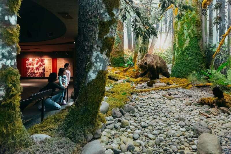 Royal B.C. Museum in Victoria: Full-Day Admission Ticket - How much time should you allow?