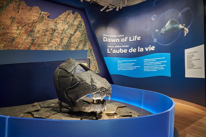 Royal Ontario Museum Admission - Why the Royal Ontario Museum is worth your Toronto time
