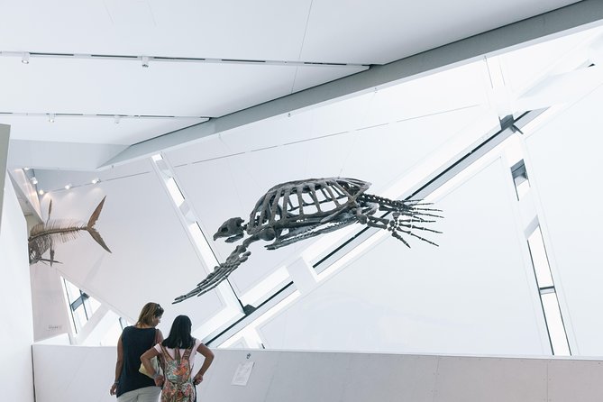 Royal Ontario Museum Admission - The galleries that work best for families