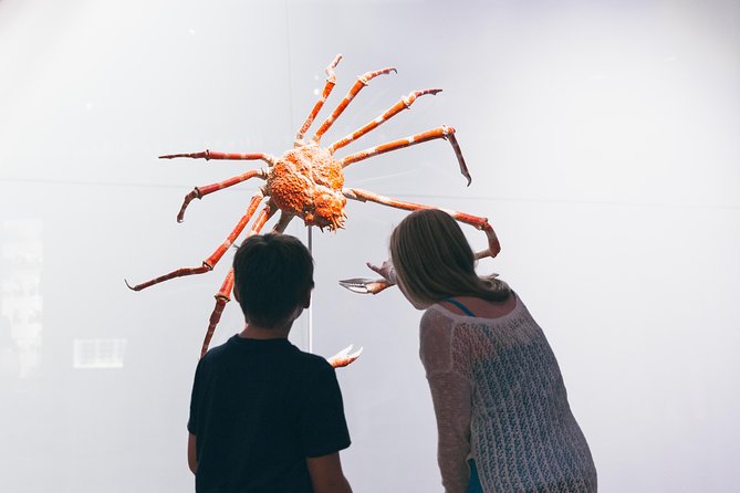 Royal Ontario Museum Admission - How long should you spend inside?