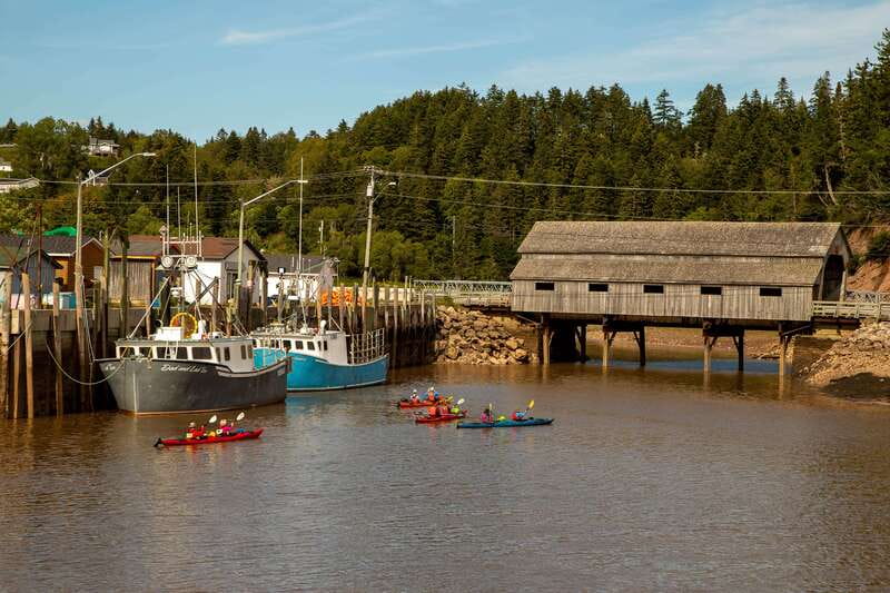 Saint John: Guided Kayaking Tour of St. Martins Sea Caves - Launching from St. Martins’ working harbour