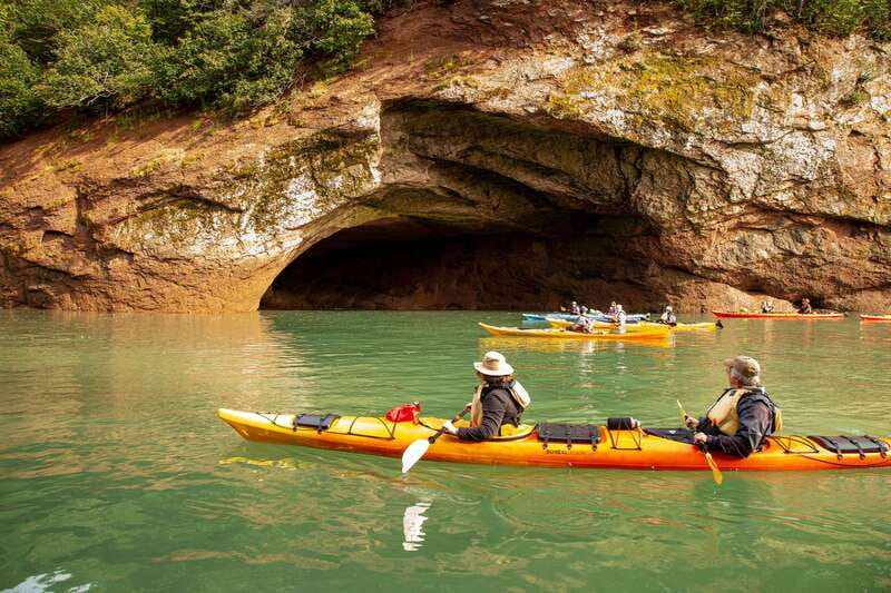 Saint John: Guided Kayaking Tour of St. Martins Sea Caves - Who will enjoy this paddle most