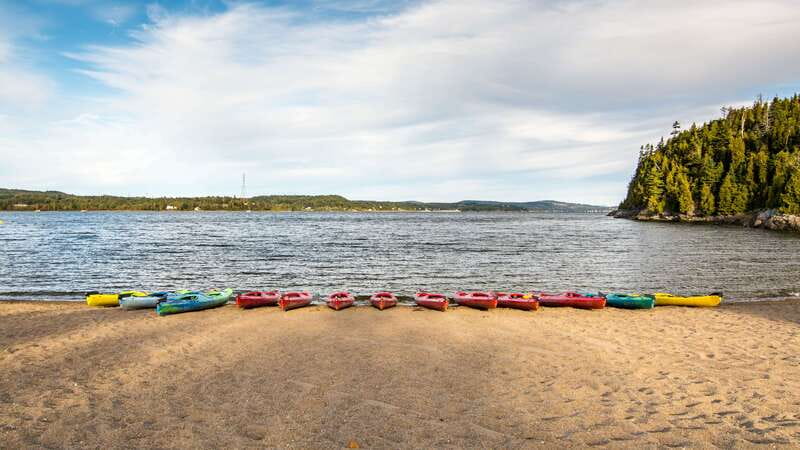 Saint John River: River Relics Kayak Tour - Why this short Saint John River tour is worth your morning
