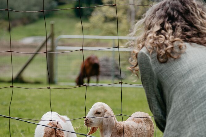 Salt Spring Island "Artisan Trail" Hop On Hop Off Tour! - Taste small-batch beer at Salt Spring Brewing Co.