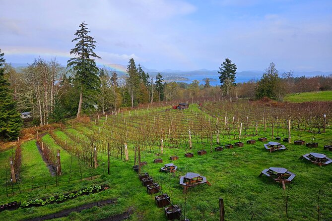 Salt Spring Island "Artisan Trail" Hop On Hop Off Tour! - Save room for Salt Spring Apple Co. Ciderworks