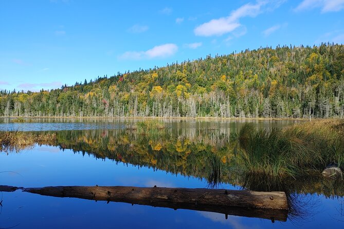 Scenic Hiking Adventure at Mont-Orford National Park - A four-hour route on Le Mont-Chauve