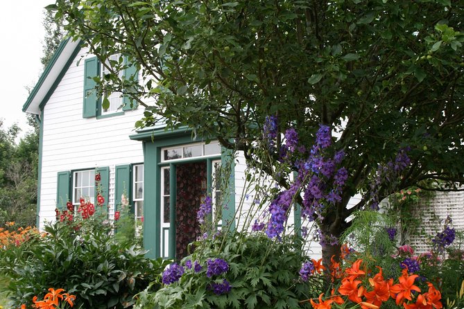 Scenic North Shore and Anne 5 Passengers only - Prince Edward Island National Park and the island’s open views