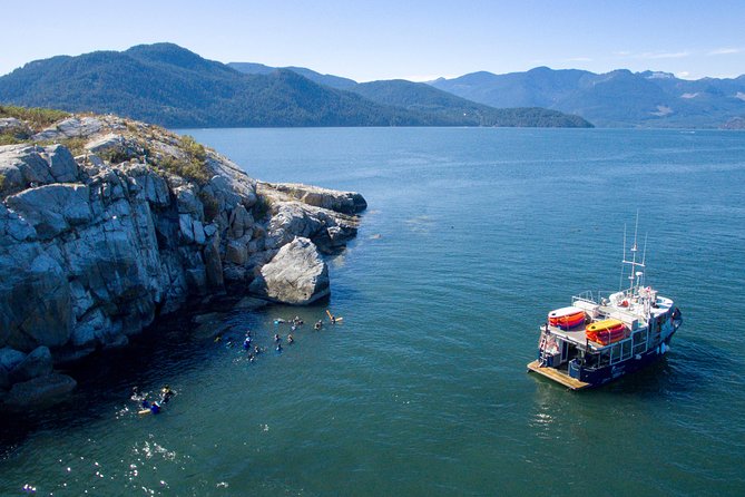 Scuba Dive Boat Charter in Vancouver (Certified Divers Only!) - From Horseshoe Bay to Howe Sound