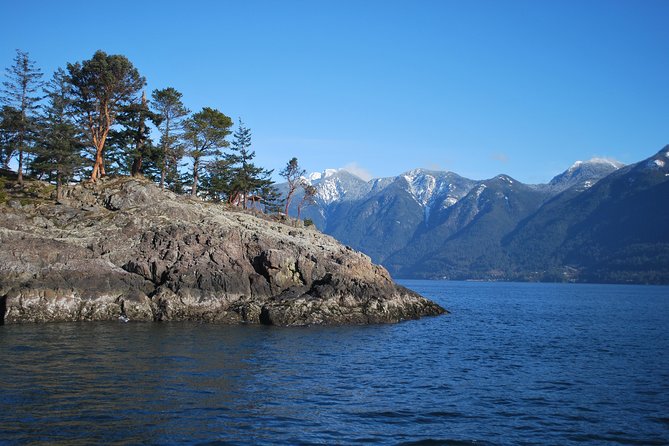 Scuba Dive Boat Charter in Vancouver (Certified Divers Only!) - The second setting: a wall beneath the mountains