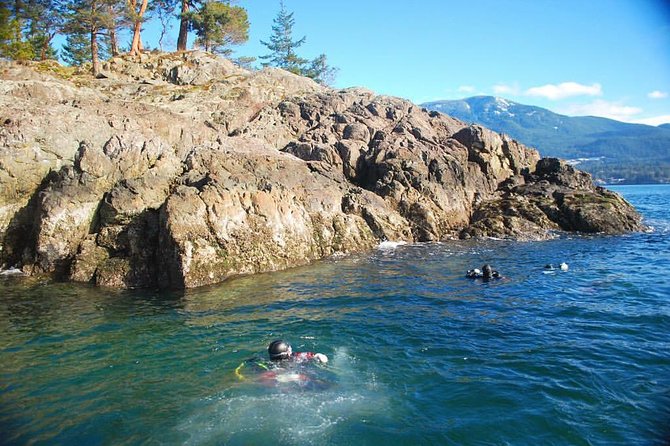 Scuba Dive Boat Charter in Vancouver (Certified Divers Only!) - Warm soup, tea, and the trip back