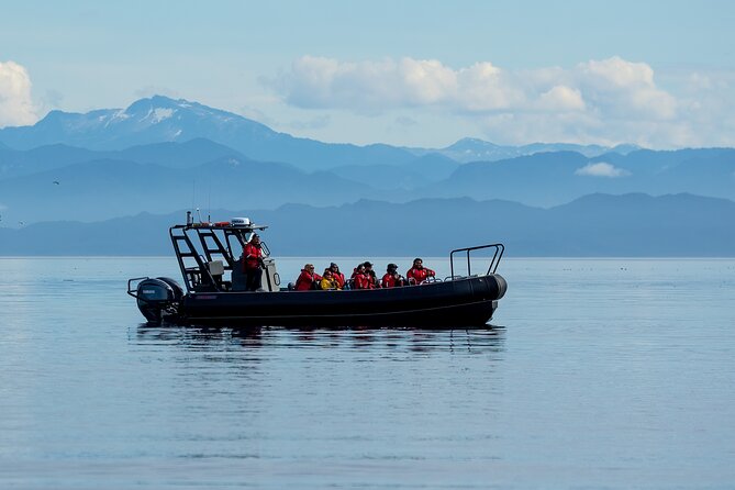 Sea Otter and Whale Watching Tour on Northern Vancouver Island - Five hours across Queen Charlotte Strait