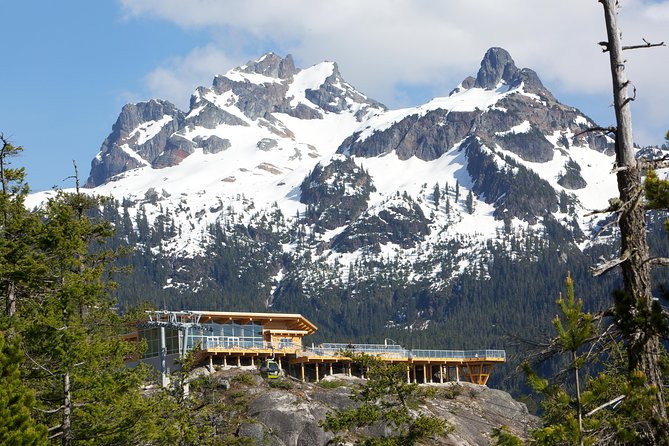 Sea to Sky Gondola Ticket - The 8-person gondola ride to the summit