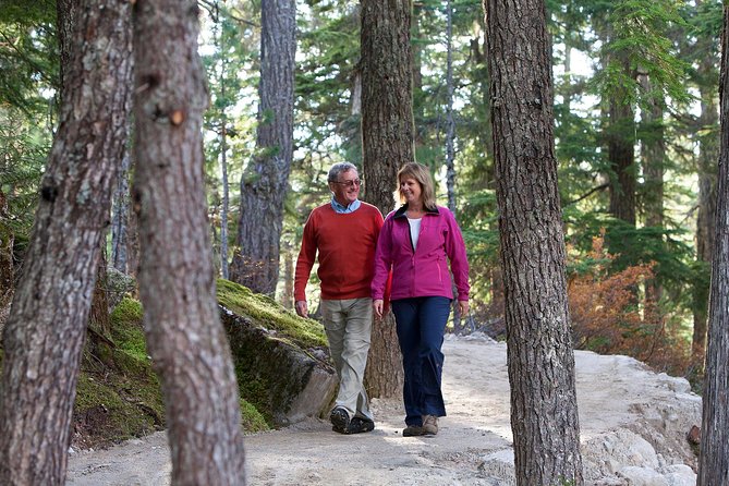 Sea to Sky Gondola Ticket - The Sky Pilot suspension bridge and summit trails