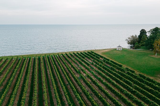 Seated Tasting Experience at Konzelmann Winery - Arriving at Konzelmann Winery on Lakeshore Road