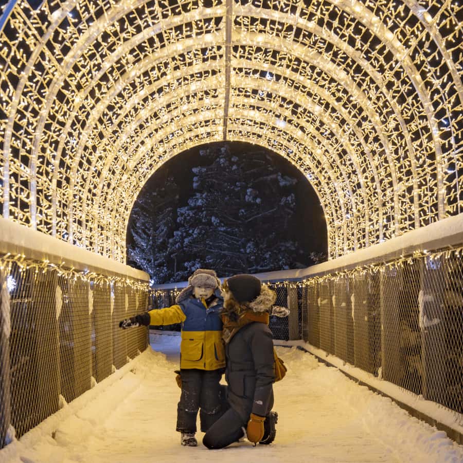 Sentier des cimes Laurentides: Treetop Observatory & Walk - Key points to know before you go