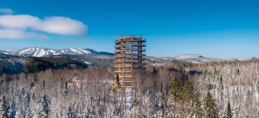 Sentier des cimes Laurentides: Treetop Observatory & Walk - The 40-metre tower changes the view