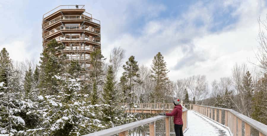 Sentier des cimes Laurentides: Treetop Observatory & Walk - The forest path begins with an easy pace
