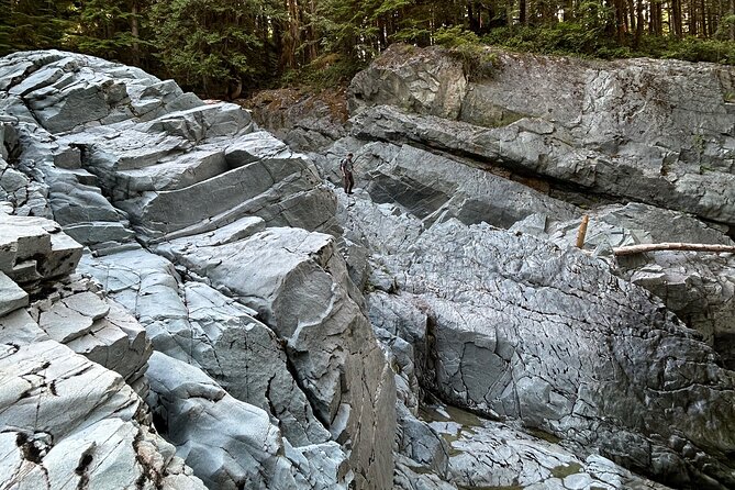 Shannon fall, Quercus Point and Squamish city Private tour - Is $373.43 A Fair Price?