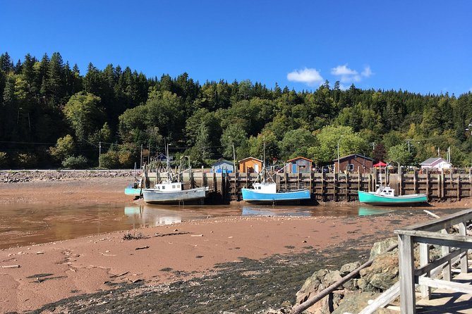 Shore Tours - Reversing Falls: Saint John’s best first stop