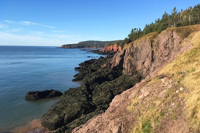 Shore Tours - What the private price really buys you