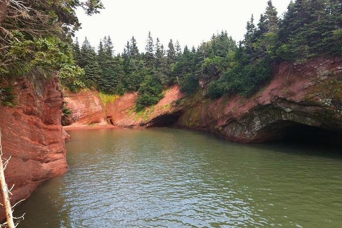 Shore Tours - Guide quality and comfort can shape the day