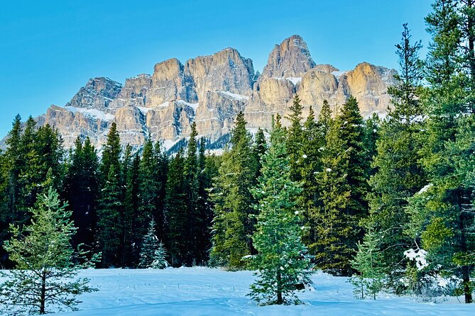 ShuttleBus 2way Banff to Lake Louise (1Hr) and Moraine Lake (1Hr) - Moraine Lake and the Rockpile Trail