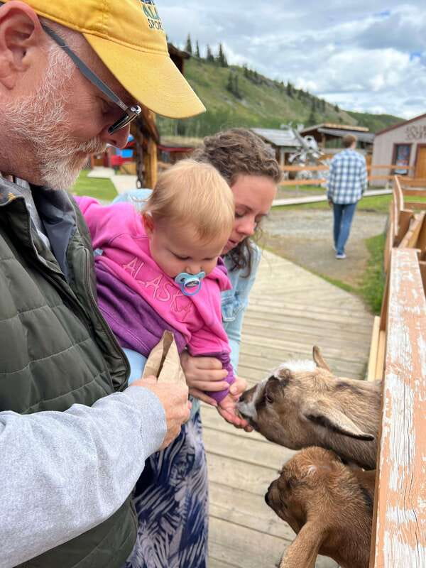 Skagway: Yukon Dog Mushing & Sightseeing Tour - Key things to know before booking