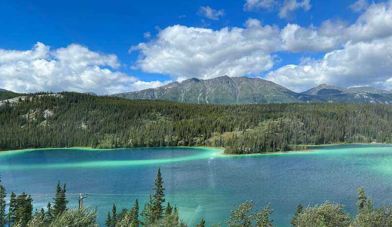 Skagway: Yukon Dog Mushing & Sightseeing Tour - From Broadway to the Yukon border