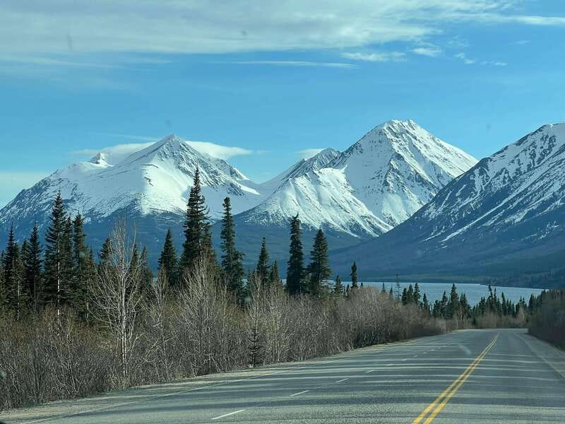 Skagway: Yukon Dog Mushing & Sightseeing Tour - The border crossing requires your passport