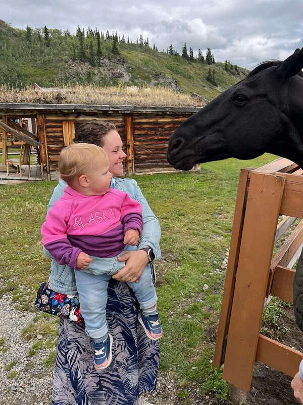 Skagway: Yukon Dog Mushing & Sightseeing Tour - Wildlife possibilities along the road