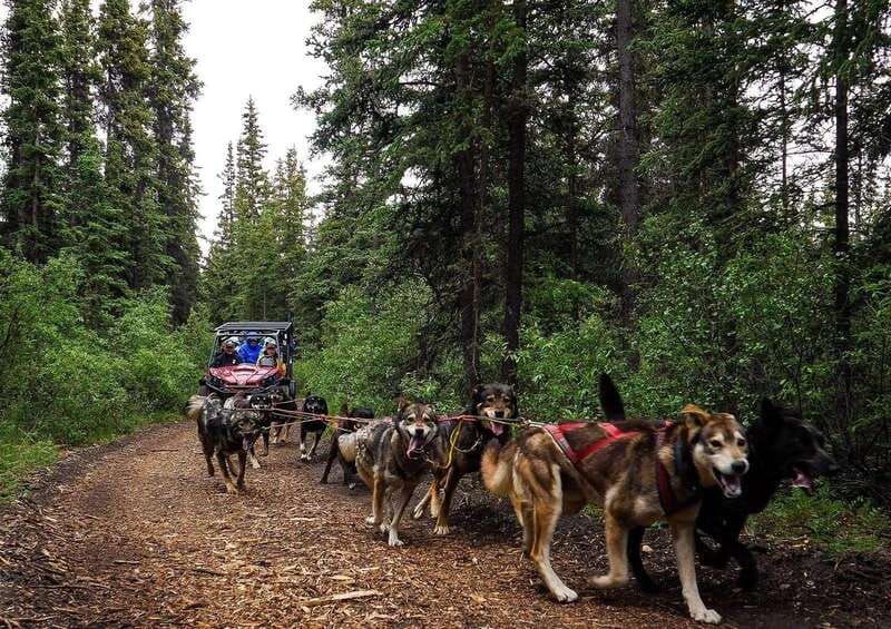 Skagway: Yukon Dog Mushing & Sightseeing Tour - Bridal Veil Falls and roadside photo stops