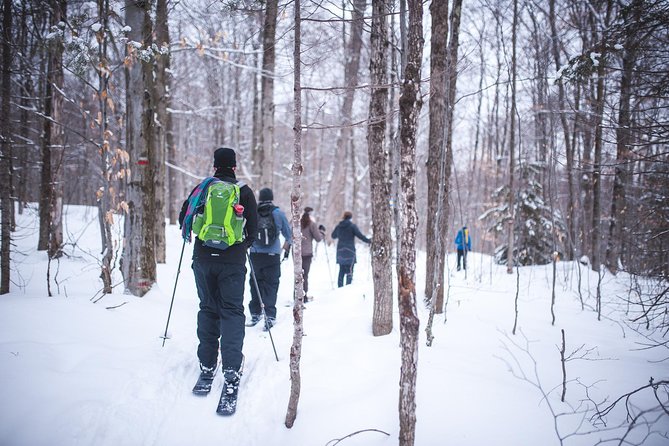 Skiing (Hok Ski) Excursion in Jacques-Cartier National Park - Key Points Before You Book